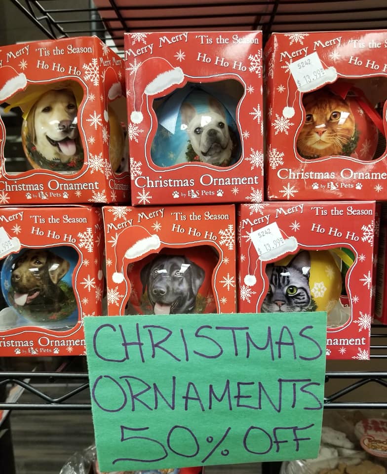 78967671 2715561041833315 4475979624697823232 n 1.jpg nc cat105 nc ohc0Xqw3GhxOhgAQlQOpA2Sz5dlR9u8aSuHH5UCI3FGHIgZF97V0alBHR1CA nc htscontent atl3 1 1