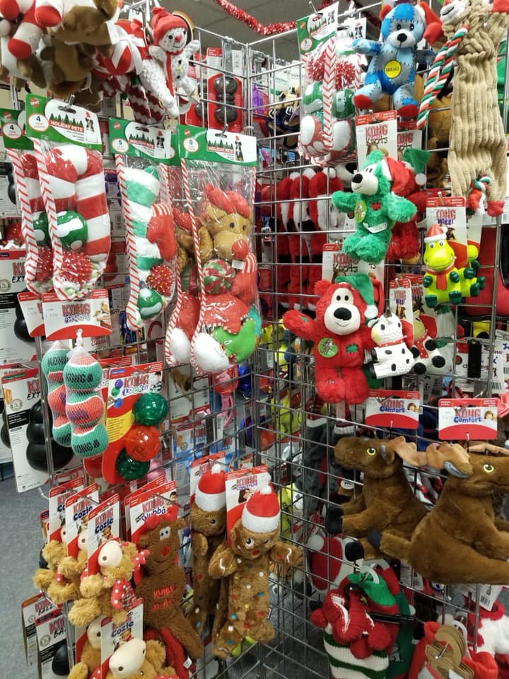 79097754 2712487258807360 5742510891253891072 n 1.jpg nc cat106 nc ohcPntBp06IfsMAQkRyF0CAVkrbFCCqZ6I0ZP6h8rg6vfLWFr Opo8d8m5wQ nc htscontent atl3 1 1