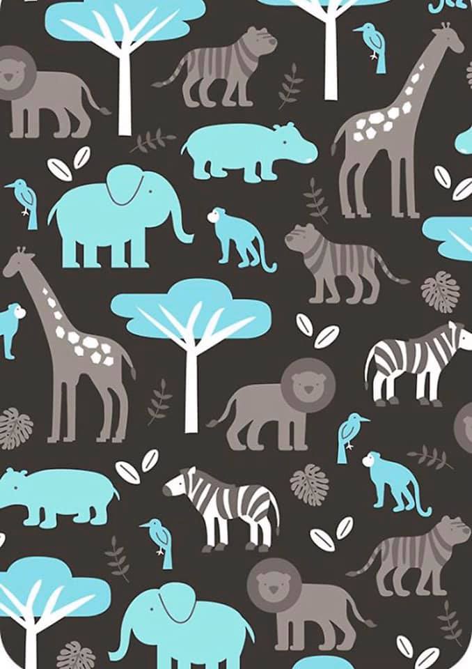 90916811 3098224940241471 3931471616600440832 n 1