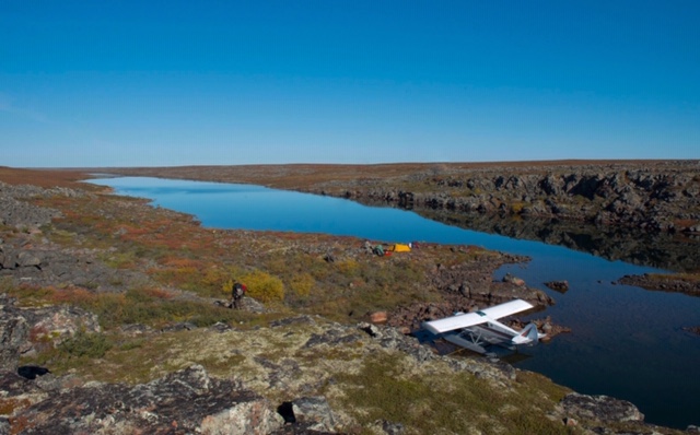 HoarfrostRiverHuskiesLtd.1 1 1