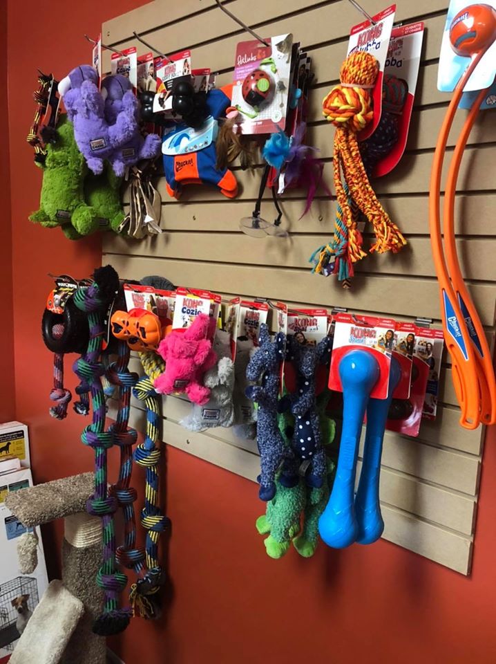 109011126 332028894864513 860157339532360165 o