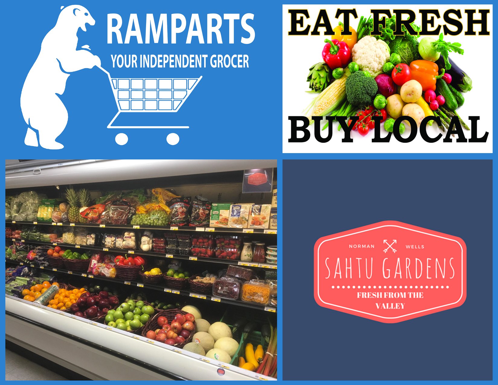 36533427 2119121064782783 7541457170089377792 o 1