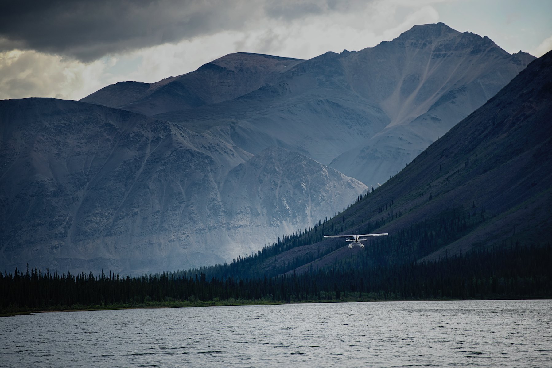 Pilatus Porter img 2