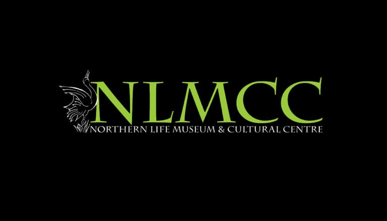 nlmcc logo a 768x439